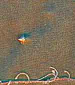 Фото 9. Пульки Pointed с медным наконечником (оборотная сторона брезента)