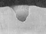 Фото 12. Пулевой канал от попадания пульки Pointed через один слой ткани.